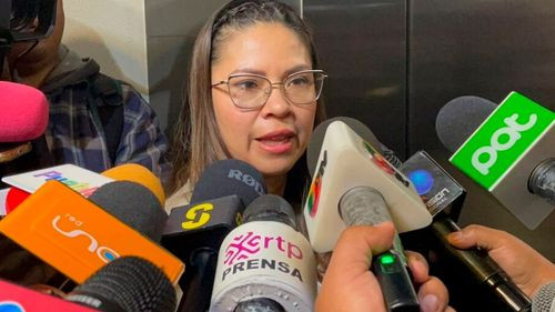 Diputada cuestiona calidad de la gasolina tras daños a vehículos