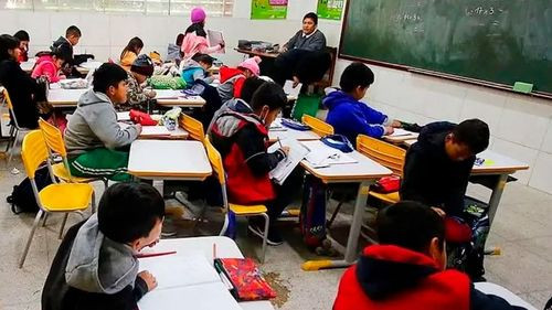 Santa Cruz amplía vacaciones escolares hasta el 21 de julio por aumento de casos de sarampión