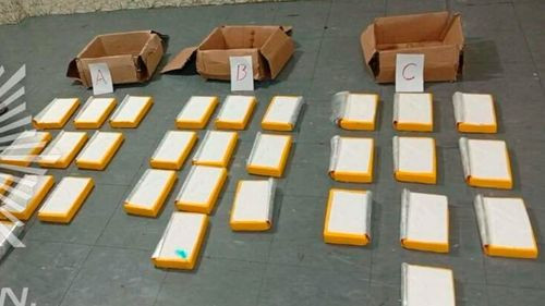 FELCN secuestra 30 paquetes de cocaína