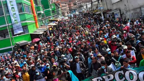 Cocaleros exigen restitución del Viceministerio de la Coca y advierten bloqueos