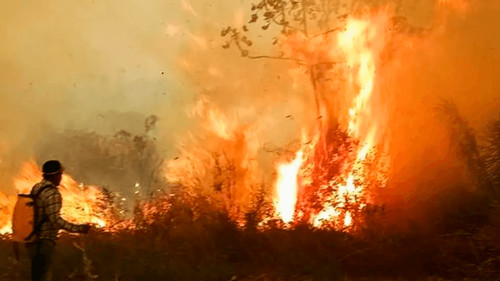 Gobierno activa plan nacional contra incendios y detecta 84 municipios en riesgo