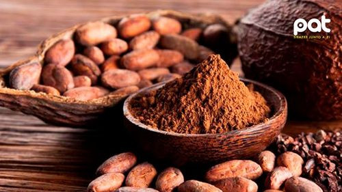 El cacao ayuda a mejorar memoria y fuerza muscular en la adultez