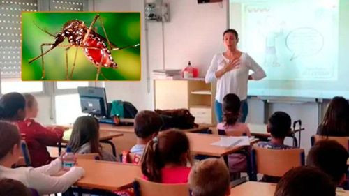 Más de 100 unidades educativas reportan maestros con chikungunya en Santa Cruz