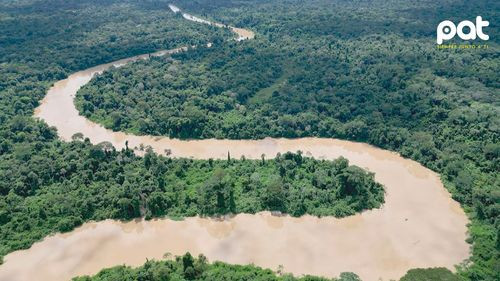 Ingenieros Forestales alertan que nuevo decreto promueve desmontes y avasallamientos en reservas fiscales
