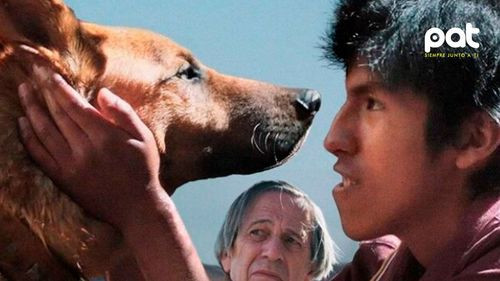 &quot;El ladrón de perros&quot; recibe premio internacional y pone en alto al cine boliviano