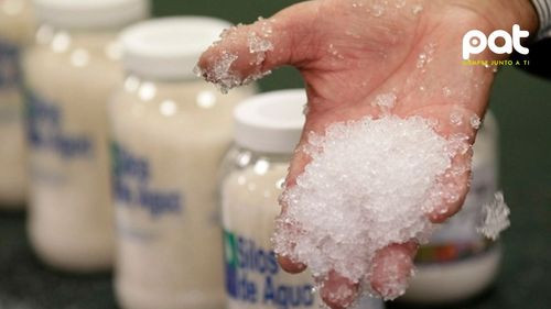Lluvia Sólida: el invento mexicano que combate la sequía y revoluciona la agricultura