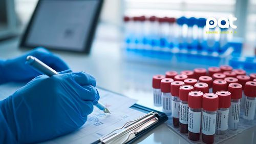 Análisis de sangre experimental podría predecir recuperación tras lesión de médula espinal