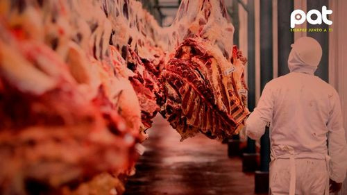 Bolivia negocia con Egipto y Chile para exportar carne, leche y otros productos