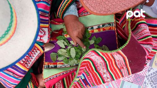 Bolivia y Colombia lideran una cruzada diplomática para despenalizar la hoja de coca y reivindicar su valor cultural