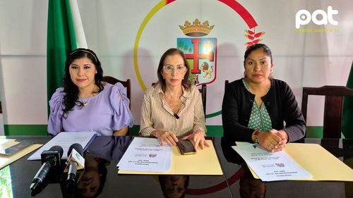 Buscan modificar la ley 348 para fortalecer la lucha contra la violencia hacia la mujer