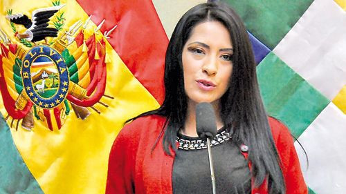 Denuncia  por acoso político no fue aceptada aseguró la concejal del MAS