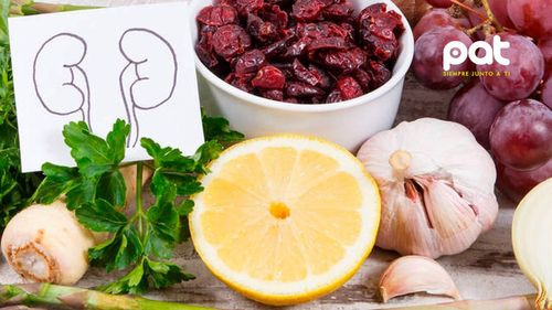Cuidar los riñones es vital: estos alimentos pueden dañarlos y estos otros ayudan a protegerlos