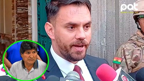 Del Castillo califica de &quot;tremendo favor&quot; la renuncia de Evo Morales al mas y espera más deserciones