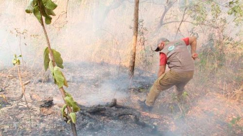 Anuncio importante de la ABT: Detenciones y citaciones en la lucha contra incendios