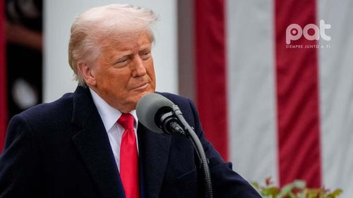 Musk respalda aranceles de Trump y propone zona de libre comercio transatlántica