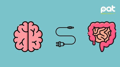 El intestino, el órgano olvidado que influye en el ánimo, la memoria y las defensas del cuerpo