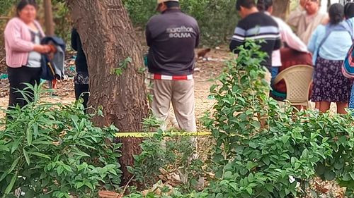 Capturan al presunto asesino de mujer de 73 años calcinada en Los Lotes