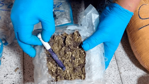 FELCN incauta droga y detiene a dos personas en operativo en Santa Cruz