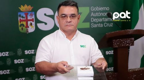 Gobernación monitorea la presencia de langostas voladoras en 3 municipios