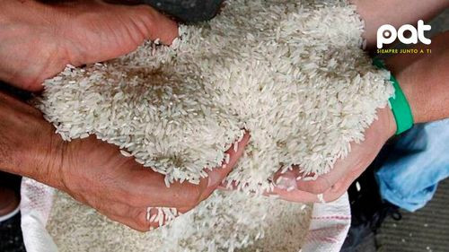 Gobierno amplía hasta octubre el arancel cero para la importación de arroz