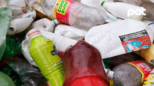 Hábitos de reciclaje: El primer paso para un ambiente más limpio