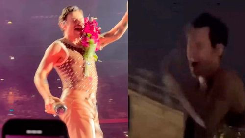 Harry Styles fue golpeado en pleno concierto con un objeto lanzado por un fan 