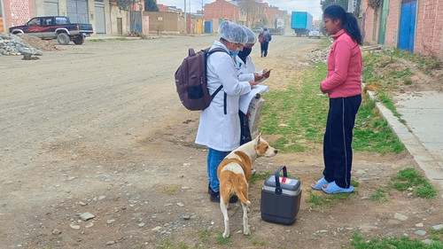 intensifican campaña de vacunación contra el sarampión en El Alto