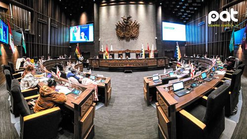  Cámara de Senadores aprueba ley para implementar el TREP en elecciones generales de agosto