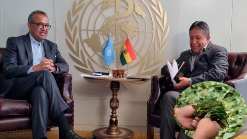 La OMS anuncia a Bolivia que inicia los procedimientos para la revisión de la hoja de coca
