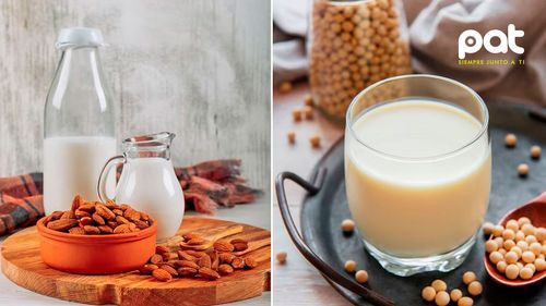 Leche vegetal: ¿cuál es la mejor opción nutricional entre la de almendras y la de soja?