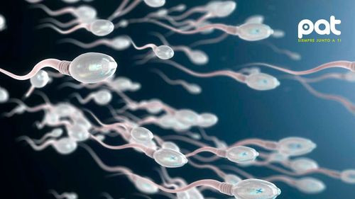 Los Ángeles será sede de la primera carrera de espermatozoides del mundo 
