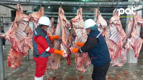 Matadero Municipal de El Alto garantiza calidad e inocuidad en el faenado de ganado 