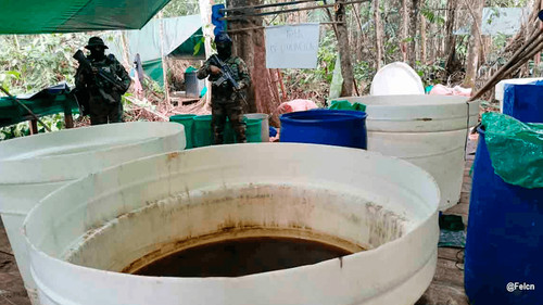 Decomisan 42 kilos de cocaína  en ruta a La Paz y destruyen  laboratorio en Villa Tunari