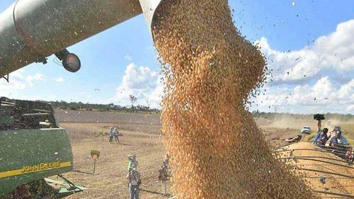Exministro justifica regulación en el sector soyero: “Seis industrias controlan casi el 85% de la producción”