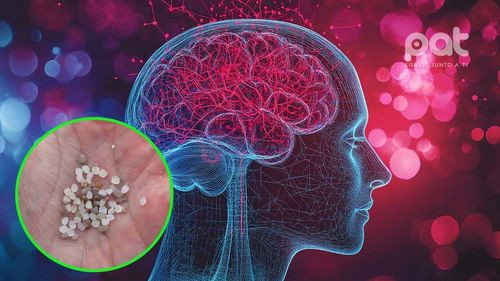 Microplásticos en el cerebro humano: un nuevo riesgo para la salud mental