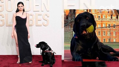  Miss Ingrid, la perra guía que hizo historia en los Globos de Oro al cruzar la alfombra roja con Aria Loberti