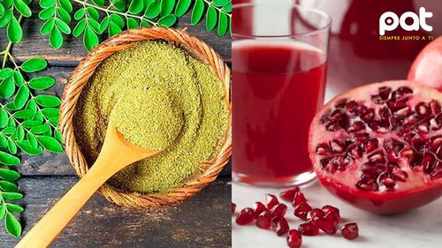 La Moringa: Un tesoro natural para la salud, descubre los beneficios