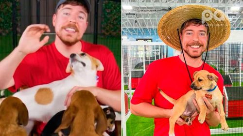 Mr. Beast cierra el año con un acto de generosidad hacia los peludos amigos de la calle