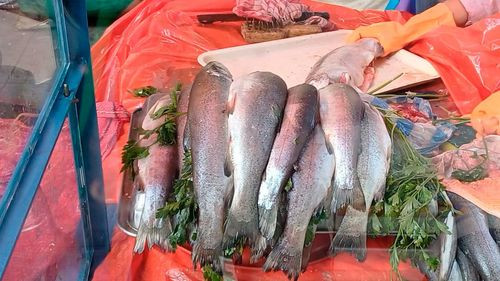 Suben precios de pescado queso por Viernes de Cuaresma