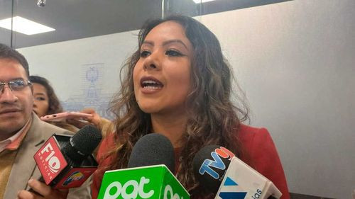 Diputada de Libre propone revisar permanencia de funcionarios vinculados al MAS