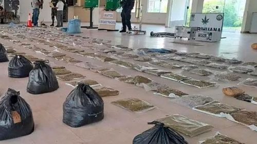 Santa Cruz: Felcn incauta más de 550 kilos de hachís y desarticula dos fábricas de droga