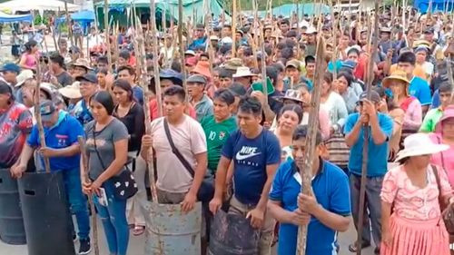 Polémica por pedido de asilo para Evo; “evistas” cuestionan a cocalero