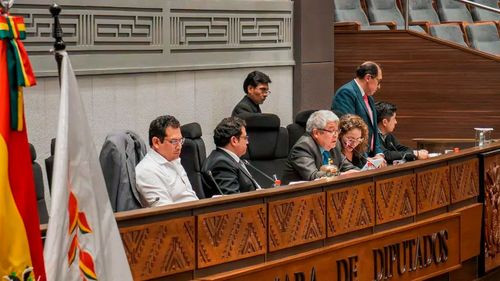 Imagen de Cámara de Diputados tratará elección de vocales electorales en La Paz y Chuquisaca