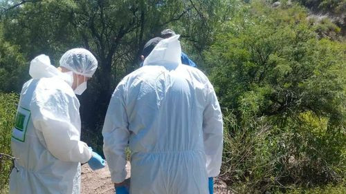 Hallan a un hombre sin vida en la ruta Cochabamba – Oruro y presumen que fue asesinado