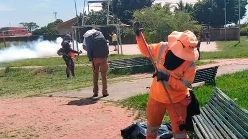 Gran minga contra dengue y chikungunya se realizará este domingo en Cochabamba