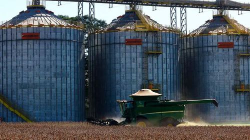 Bloqueos frenan operaciones en industrias oleaginosas