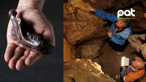 Nueva evidencia confirma que los denisovanos habitaron zonas cálidas como Taiwán