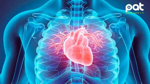 8 hábitos que pueden prolongar la vida y reducir el riesgo de enfermedades cardiovasculares