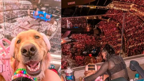 Aspyns, el Perro de Apoyo Emocional, Disfruta de un Concierto de Taylor Swift en The Eras Tou
