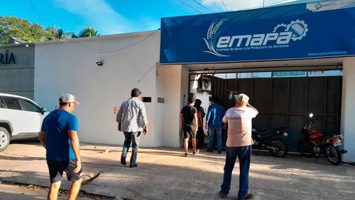 Productores de Trigo exigen pago de deuda millonaria: Reunión con EMAPA brinda una luz de esperanza
